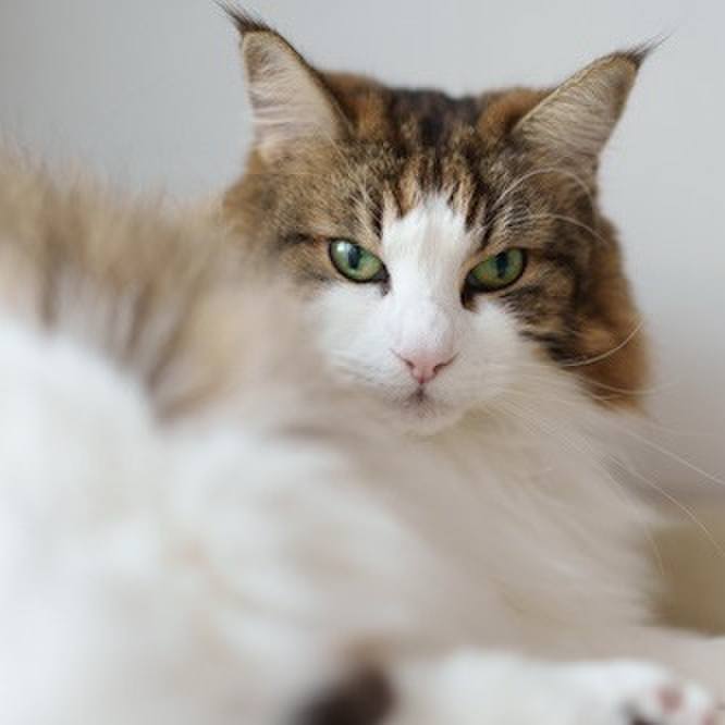 2b15d069 5607 46b3 95d3 ea5d5b307cd4 1761980446420