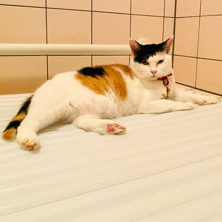 2b15f591 a73b 48e3 a1bb 170517b5e071 1755785850459