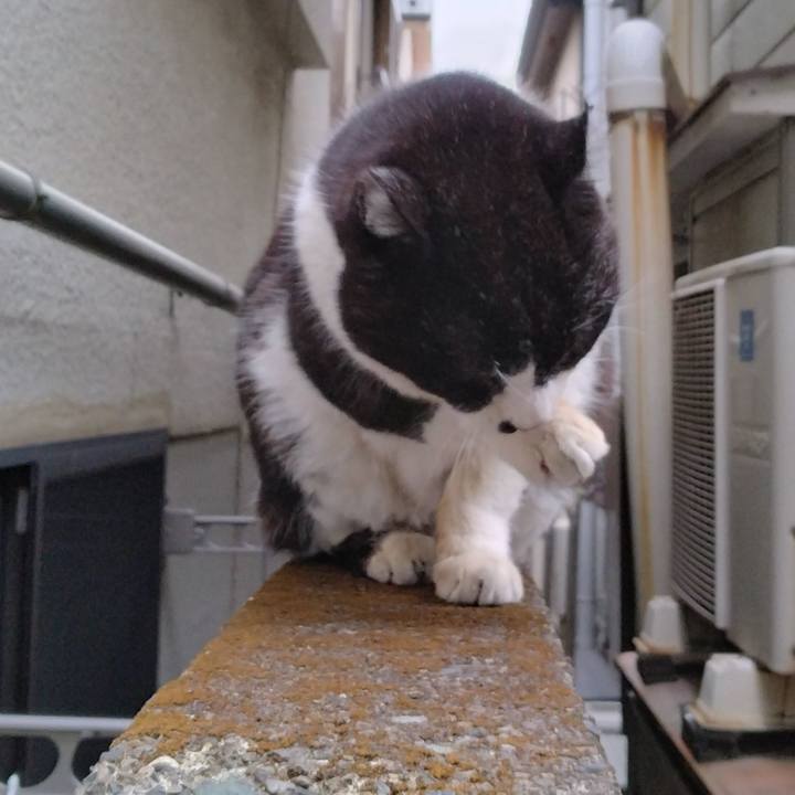 2b161371 0ec3 41ab 99ac 5bdaeddd2053 1709194314343