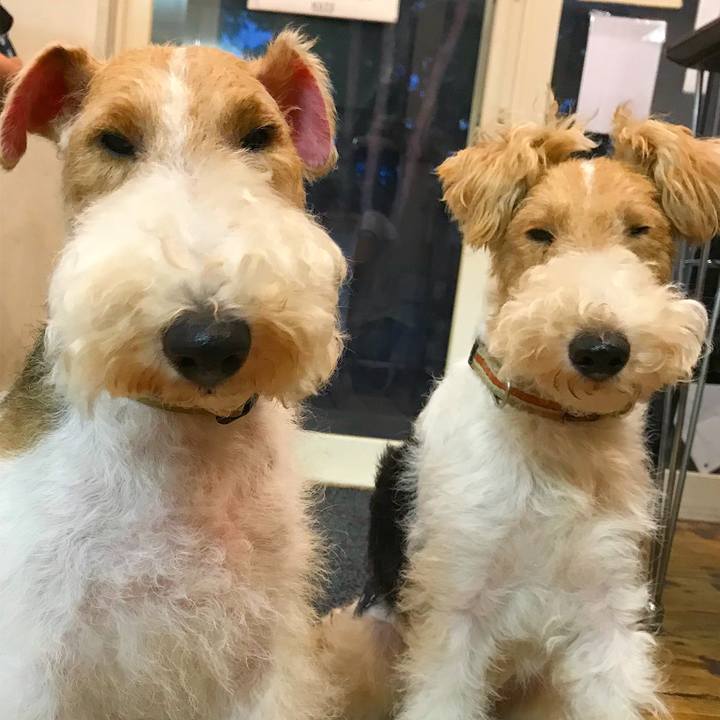 2b163c3a d900 4a0d ae7e 90fc748212d6 1538902074530