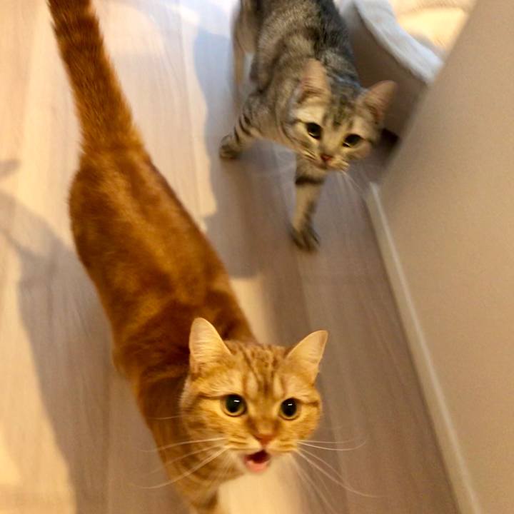 2b164994 3076 4572 8434 8ba4a014e346 1514158418103