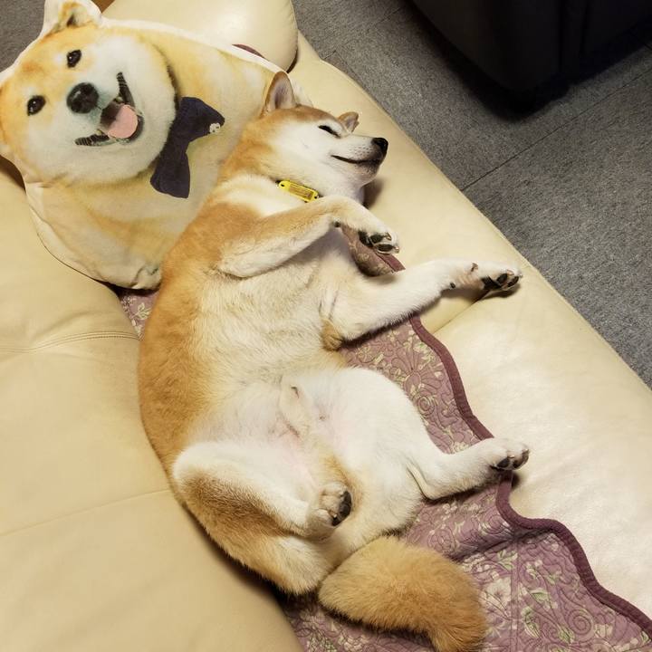 2b1655e9 02e5 46a7 b6e8 92c109b965bd 1640167621545