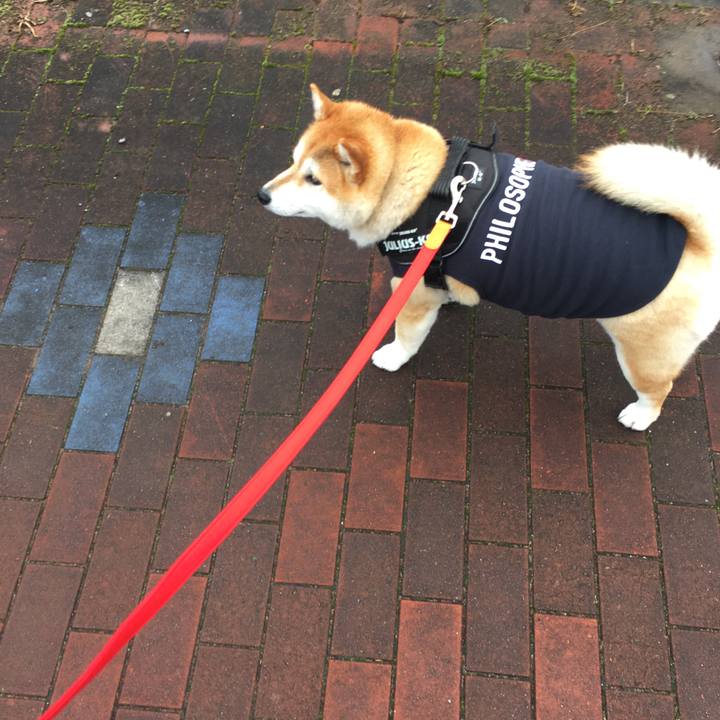 2b169b79 4ea6 4ee8 9cd9 016ebdfebe41 1574831945076