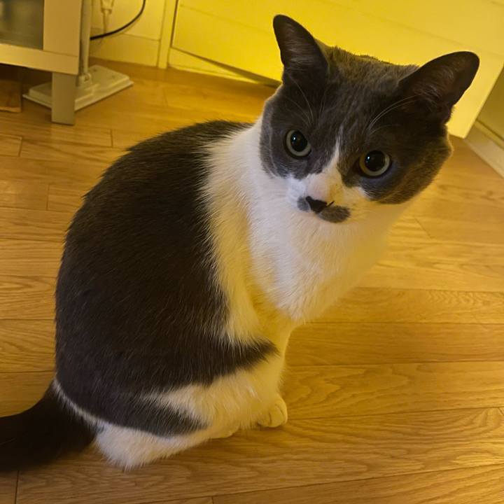 2b16a634 a3ff 494a afd7 af67b2cb49fa 1741126979373