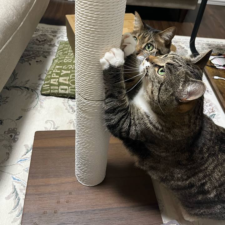 2b16b2df 2bec 437a 985a 26a52647caba 1725717200857