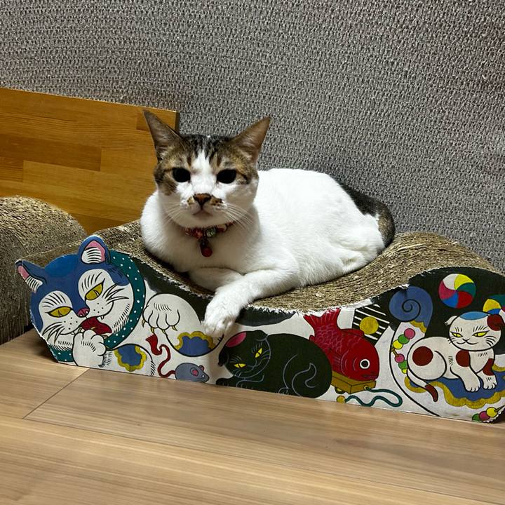 2b171373 0f78 4ff7 8565 edf4715f8662 1757108572376