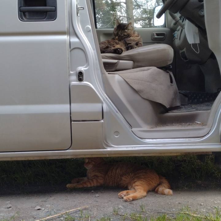 2b174cbe d409 4815 94ba 46e5401499c2 1685175573306