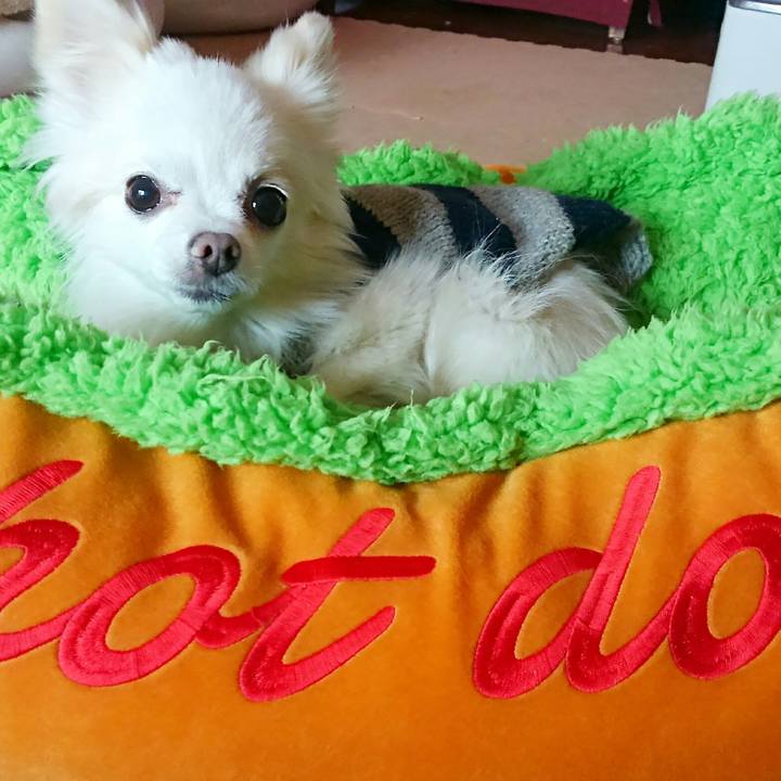 2b1819e4 c922 4e14 9eac 93b036d6c90a 1519447496545