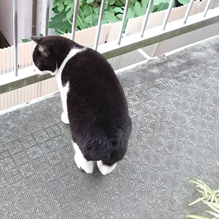 2b1821be 2bbb 4009 bcd0 e816401bbfa1 1603840676683