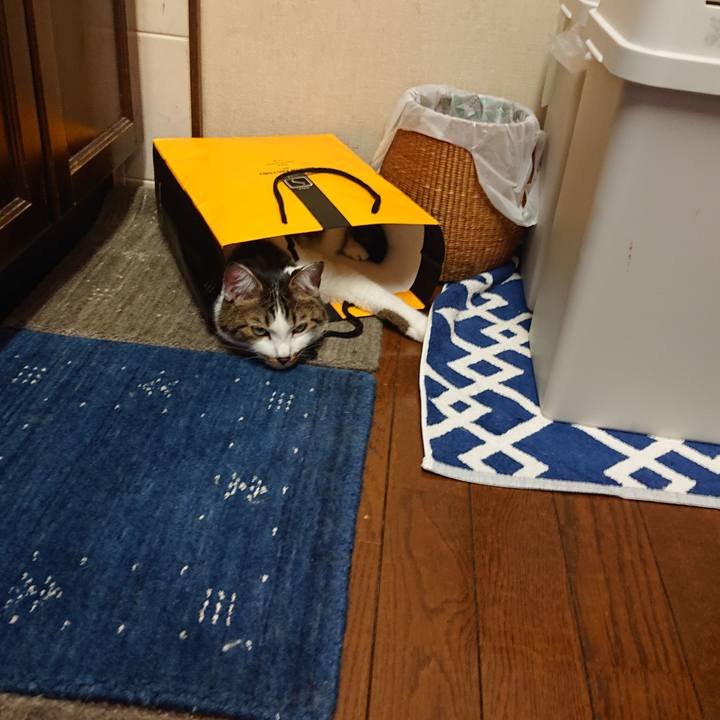 2b185266 aa79 4768 8e5b 0e3236781636 1693449596832