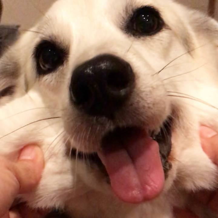 2b1867d0 6d52 4c6f a551 191de6df6127 1561124595874