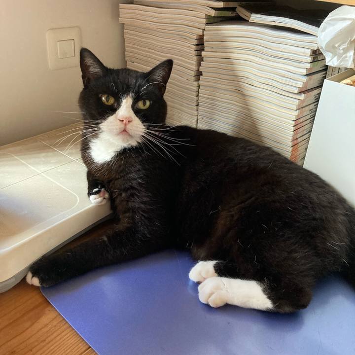 2b18b7e7 475e 4f3e babe d2504996713e 1629331210740