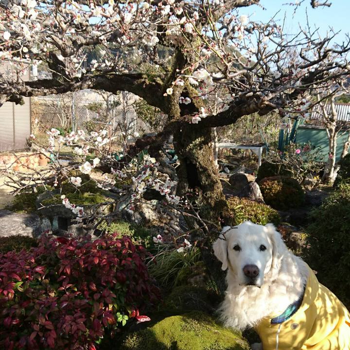 2b18ca02 8739 4e91 a340 2cd771d64f50 1548724679349