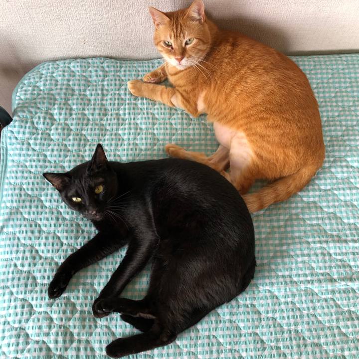 2b18d0af 8acc 4d1e bfba dd3c58a99f2a 1660027961617