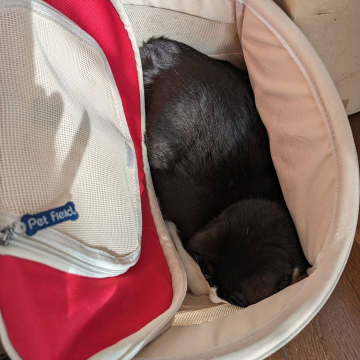 2b1905ad 4333 466b 9361 e75de77b54f7 1713503333767