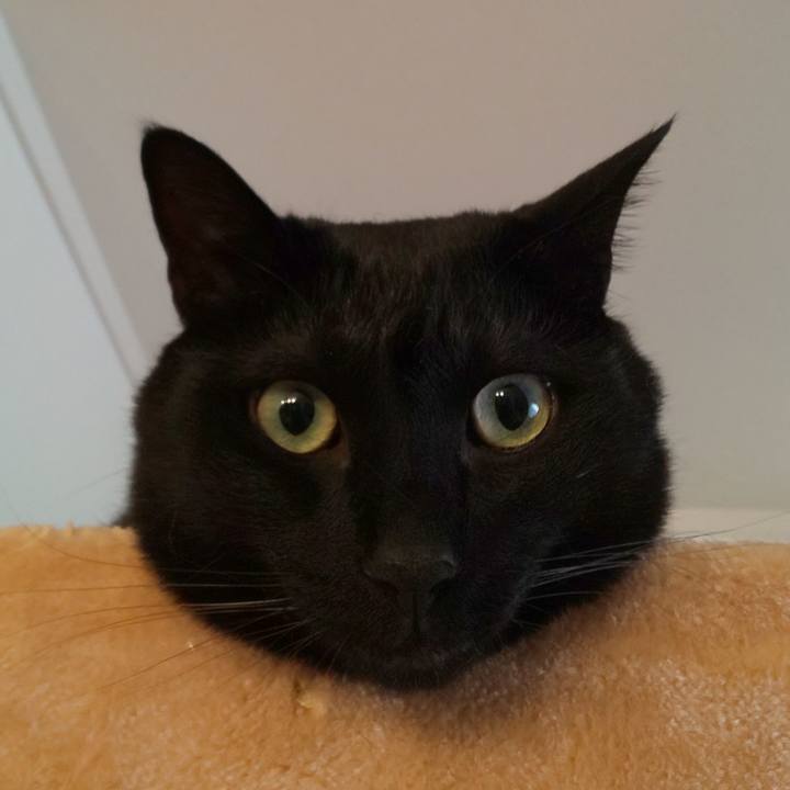 2b191ddd 2cec 46f5 83d7 7c0b70222079 1620516362076