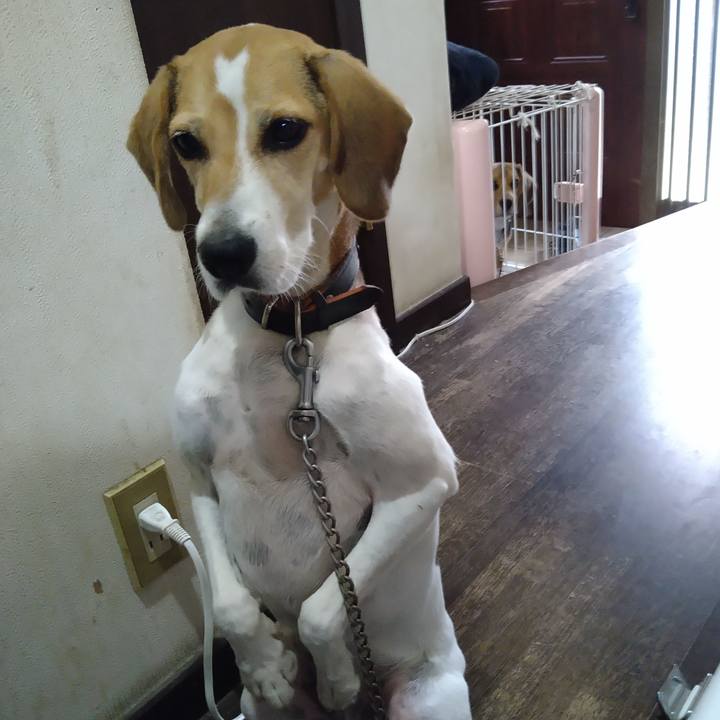 2b19518f a78e 4fa1 b922 fe9c17993dd9 1663392345074