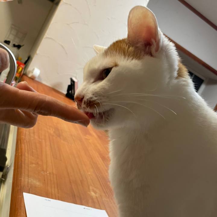 2b19ad1a b605 4b63 8bad acfa6985cc60 1645535001719