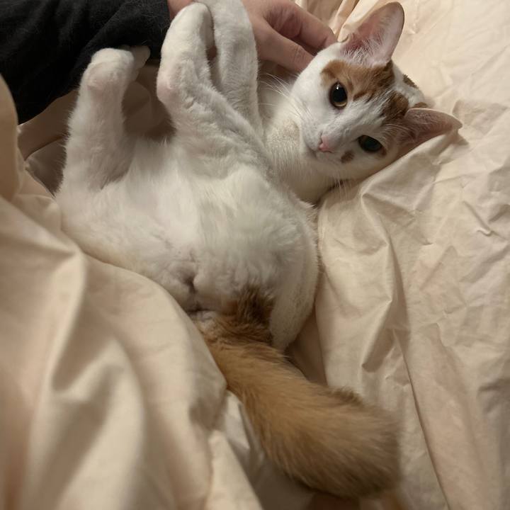 2b19c700 5b85 4658 9ff1 7cf4cca9f2e8 1765849553046