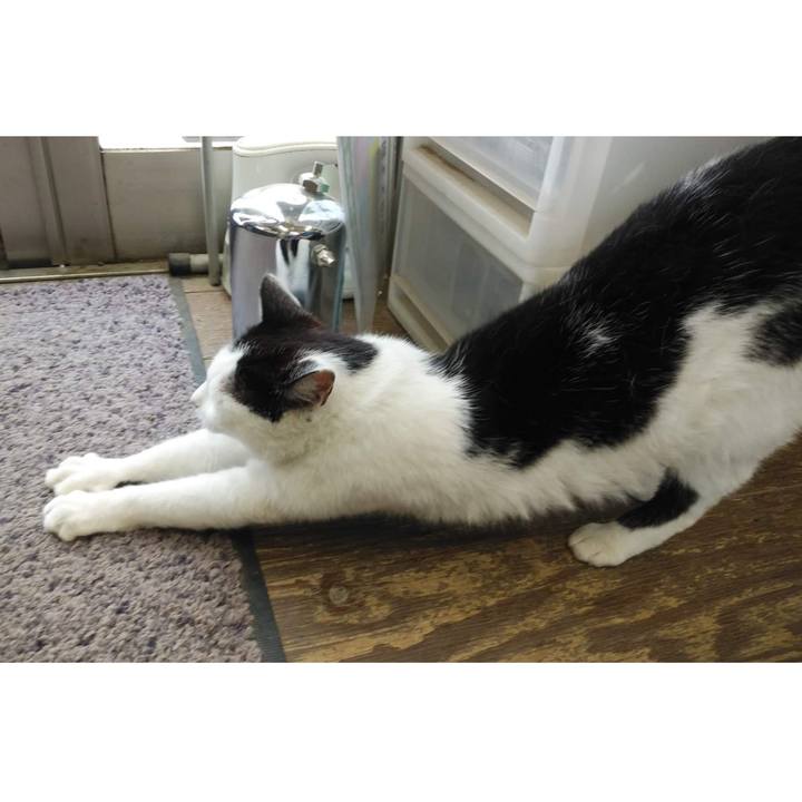 2b19cf15 5511 400f b117 411c3879bd50 1652444119254