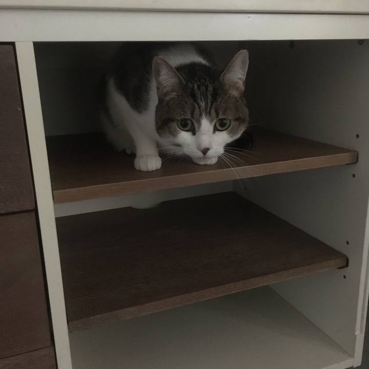 2b19f17b 385b 4626 a76c 476855cb1e53 1645501097073