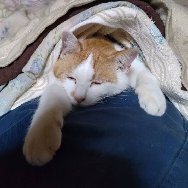 2b1a0617 bbc2 4617 8d28 1fefc1e208fc 1744718990509