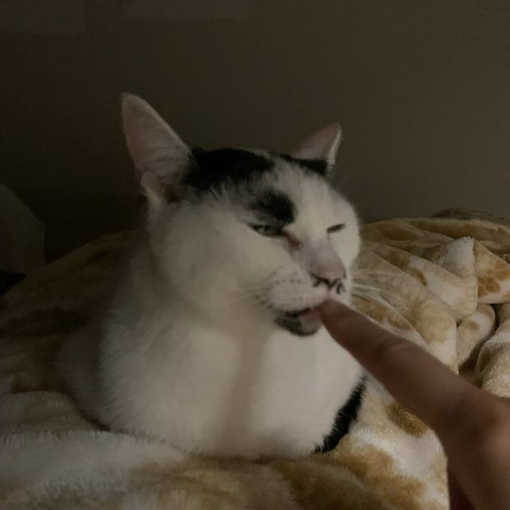 2b1a4136 f924 4f57 9b6b 28812cbbe83b 1696343077391