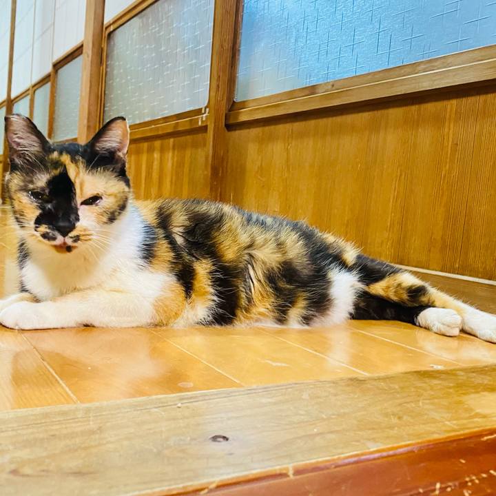 2b1a9953 5016 4f6e b6d1 a04cbe5e3e57 1659537590205