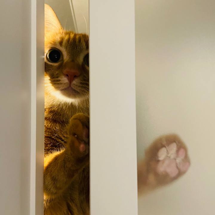 2b1ac33a c2fb 457a 8959 b0c25eff89fe 1645152894716