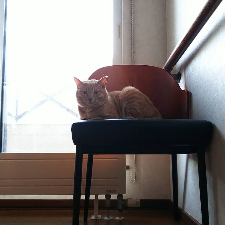 2b1adf46 906f 464f 9969 e45507dad150 1580022897433