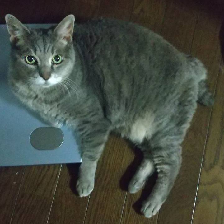 2b1ae7ee e1c5 42a0 83df e48a8edbdf87 1625917582933