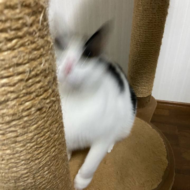 2b1aec58 96a4 44ff a2a4 a13899c0e431 1582198119482