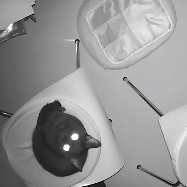 2b1af41e 847c 4721 8434 8139653bcab6 1511091389520