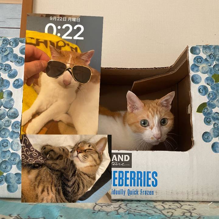 2b1afc4a 4241 4c93 ada3 421f6ddfef7d 1758468671504