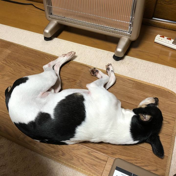 2b1b2dc5 c351 4a70 b0a0 ecdd3c62c537 1512826102600