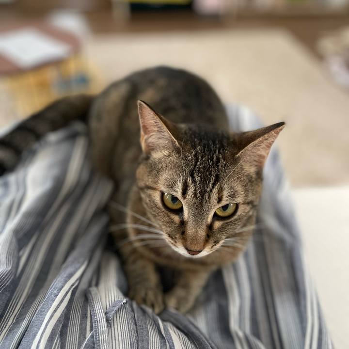 2b1b34c5 b4d7 4237 8fd0 0e5b7e1b2605 1686541160052