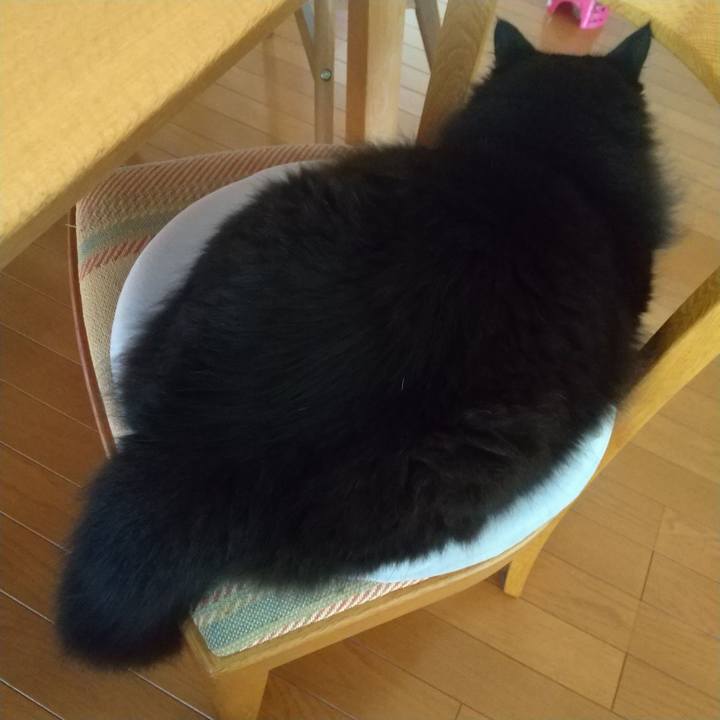 2b1b5725 53fb 4097 970f f4bccfa002ba 1692919957918