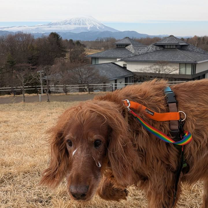 2b1b5925 1f5f 4ca8 a7e3 81e69d197b6a 1772008991624