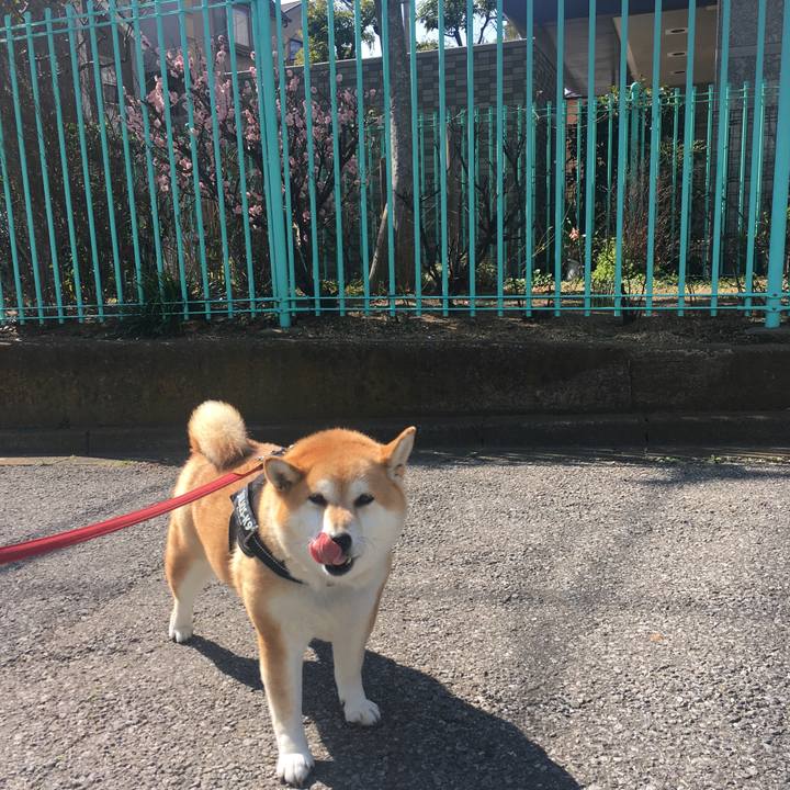 2b1b75f5 3154 4c92 aa6a d1ce310257df 1613879183121