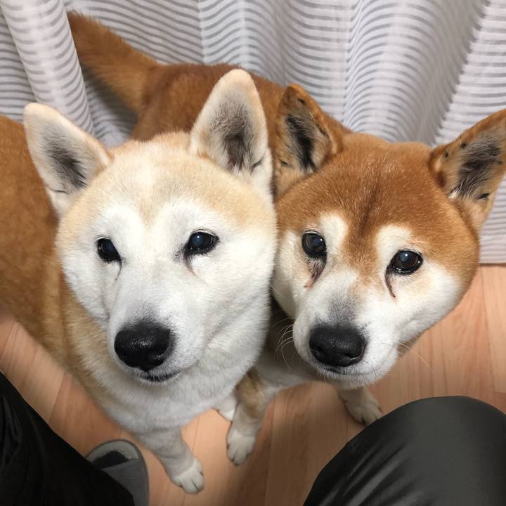 2b1b7d46 39bc 49e6 b0de f790abec76ab 1555415322258