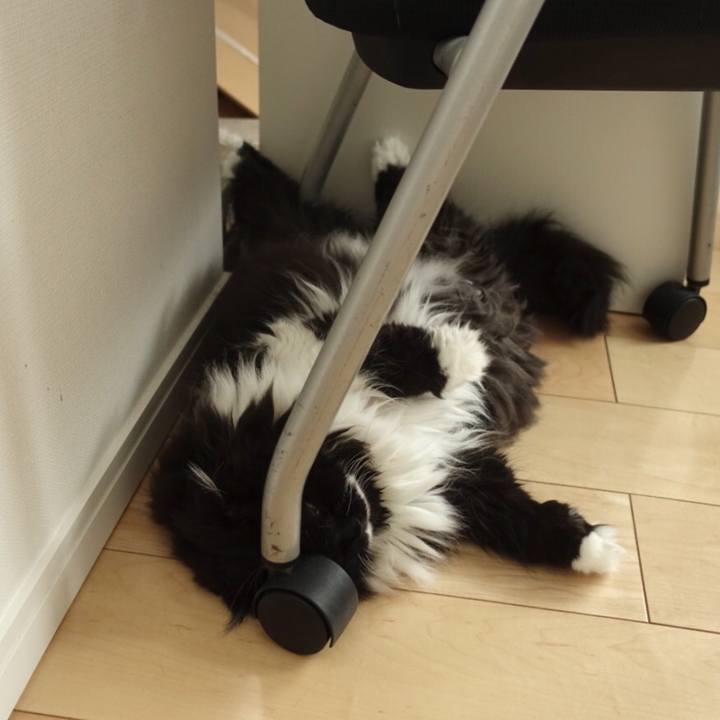 2b1b818e 5960 4ba3 ae04 ae80d3acce92 1538233165129