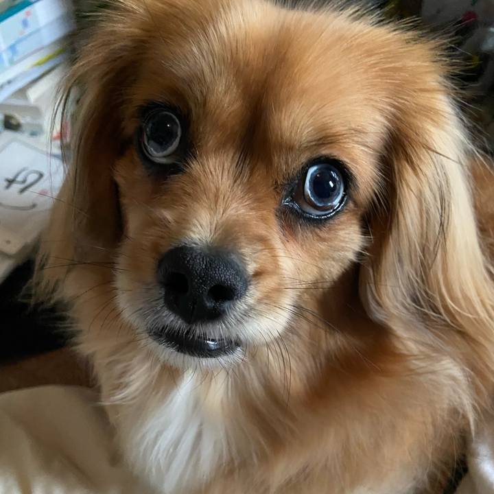 2b1bc2c3 a4fd 4ca9 b80b ce39270f5d10 1586735685238