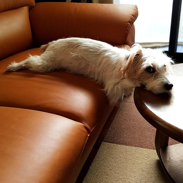 2b1c0563 89c2 44e1 8b2c c8bacd5767ae 1546089891952