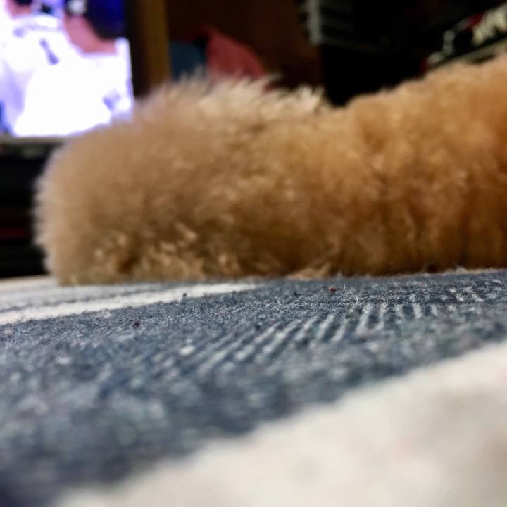 2b1c5d2a 0067 48f2 9fb5 fe42ee201a7f 1511100121110