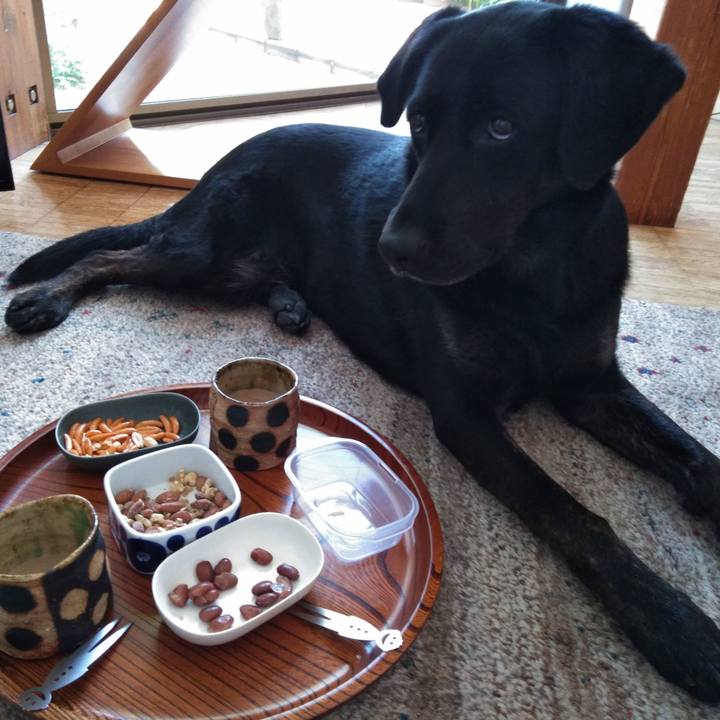 2b1c7ba9 def8 4383 ad1d ca6ab2f9ffba 1588318154658