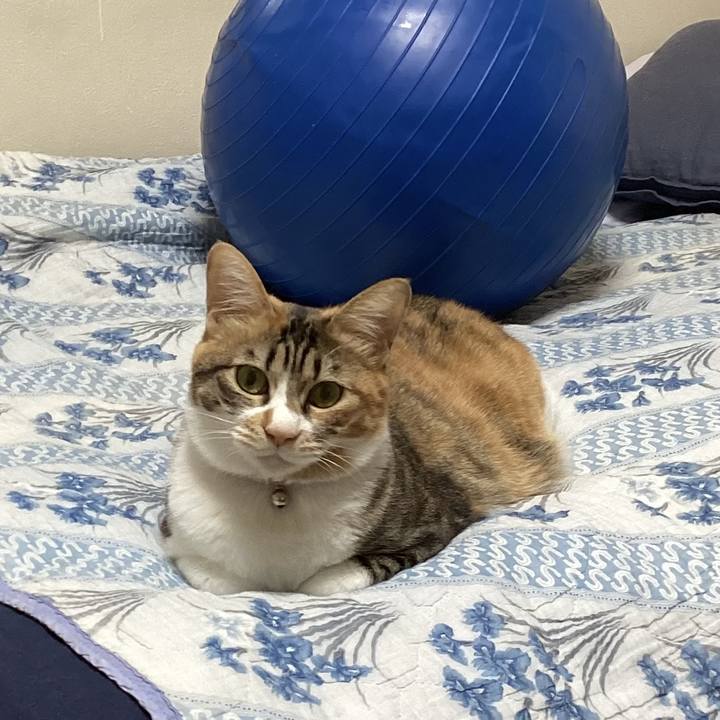 2b1c8b07 00bd 4cd1 8742 46eaeea4fc47 1703960397328