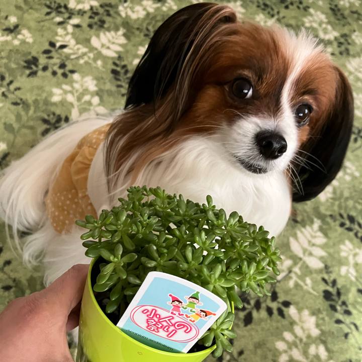 2b1c9897 1cc0 4cc1 bf7b 29a7e864ea26 1743389743976