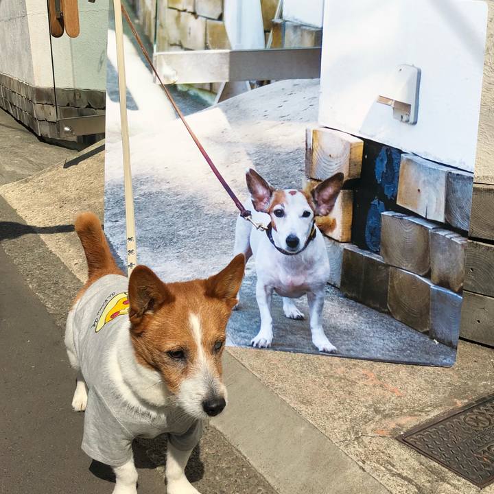 2b1c9f93 3fd9 4409 acaf 4e35c99158fc 1524234955623