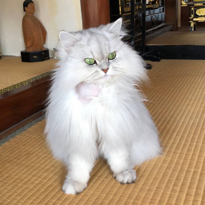 2b1cb855 b61a 4f61 8265 b90587a4597a 1551743109883