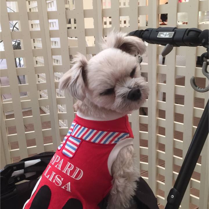 2b1cdc6a c09e 46f4 b2e6 bdc4b3199d78 1516190818677